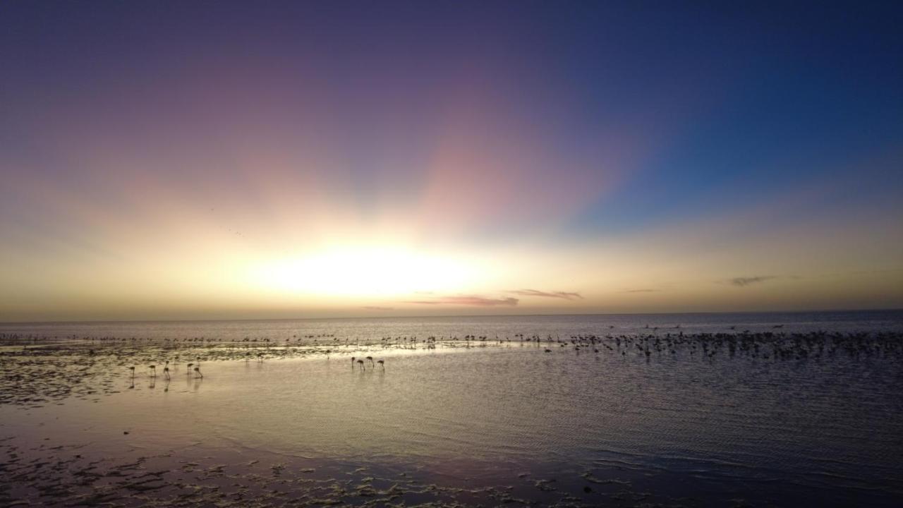 Flamingo Villas Boutique Hotel Walvis Bay Zewnętrze zdjęcie
