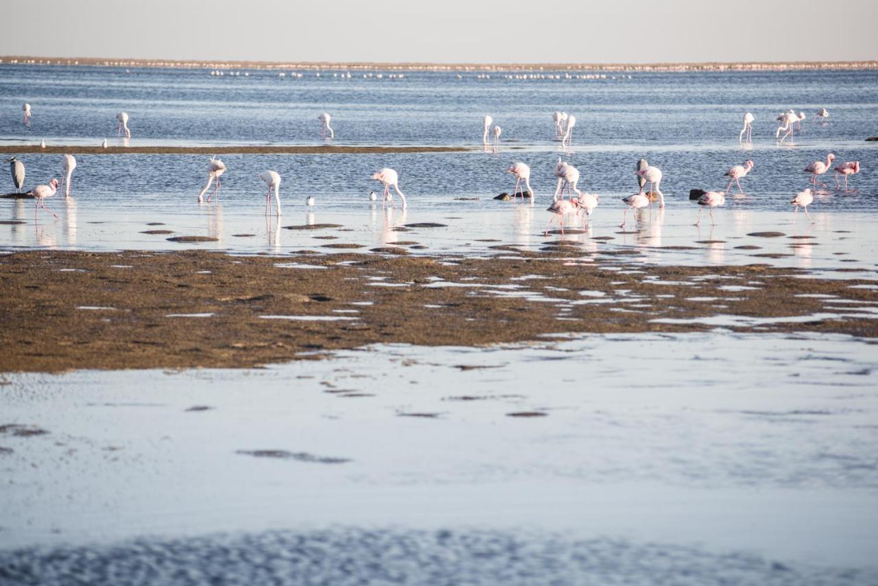 Flamingo Villas Boutique Hotel Walvis Bay Zewnętrze zdjęcie